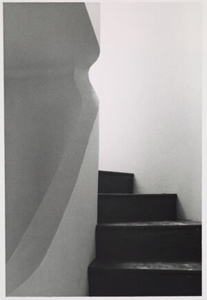 Gelatin Silver Print