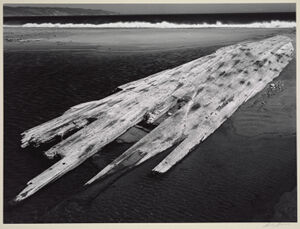 Gelatin Silver Print on board