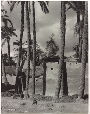 Gelatin Silver Print