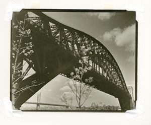 Gelatin Silver Print