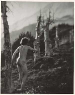 Gelatin Silver Print on board