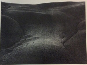 Gelatin silver print on board