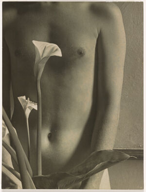 Gelatin Silver Print