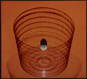 Cibachrome print on paper