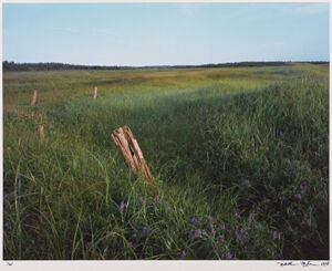 Chromogenic color print on paper