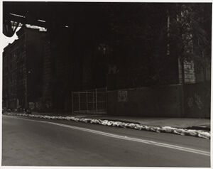 Gelatin Silver Print